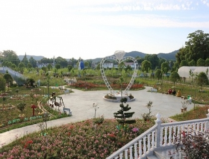綠植景觀(guān)