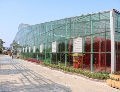 連棟玻璃溫室展示