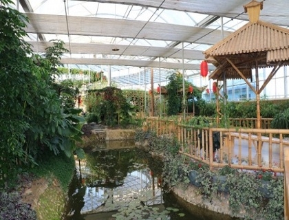 溫室內(nèi)部景觀(guān)展覽