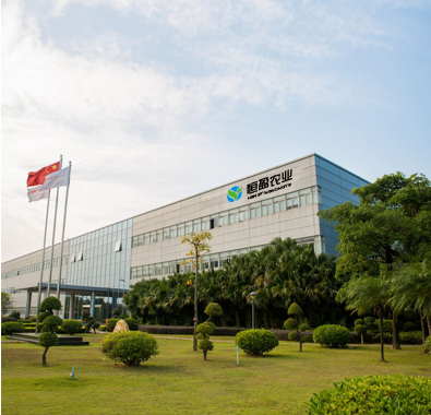 安徽溫室工程